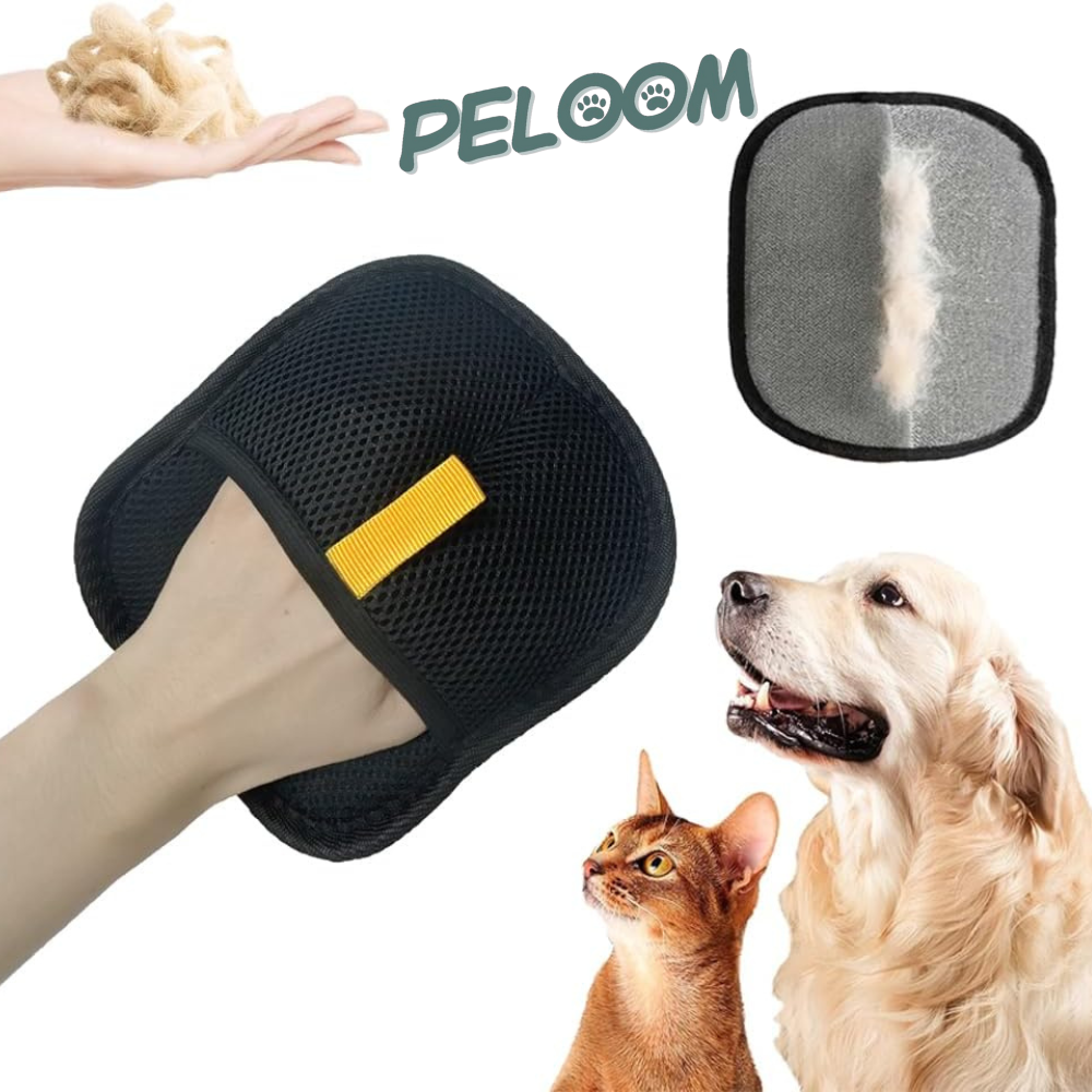 Gants anti-poils d'animaux, lavables et réutilisables