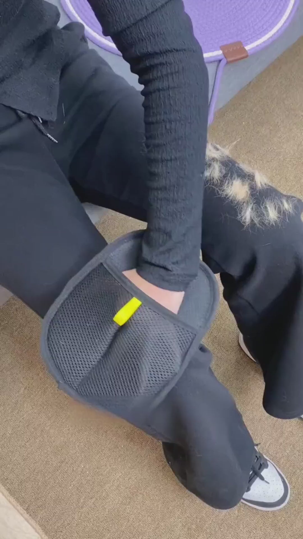 Gants anti-poils d'animaux, lavables et réutilisables
