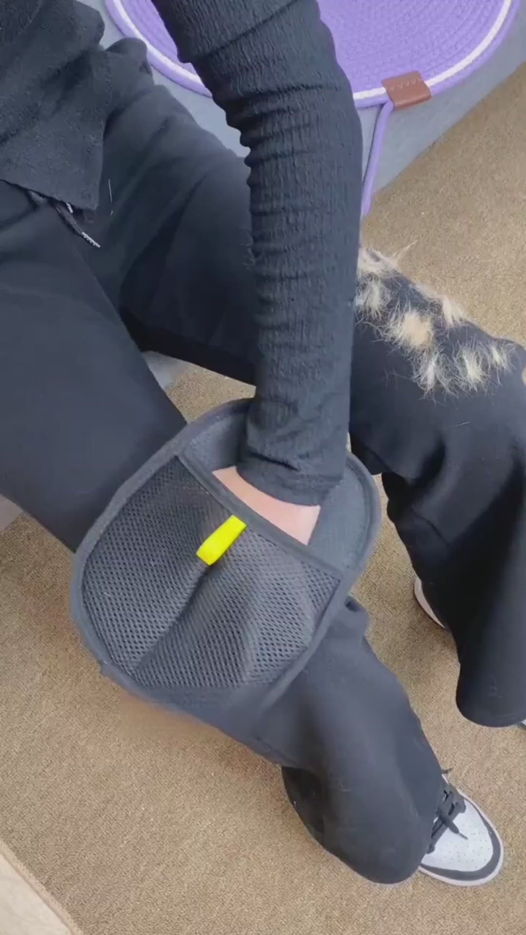 Gants anti-poils d'animaux, lavables et réutilisables